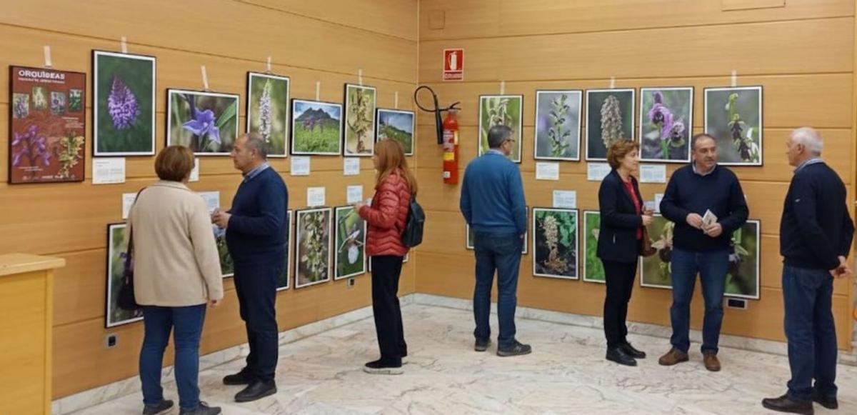 Cerca de 300 visitantes fueron testigos de la interesante exposición. | SERVICIO ESPECIAL