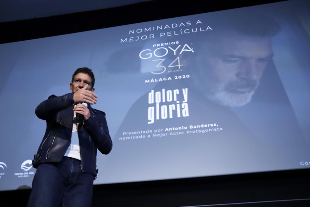 Antonio Banderas presenta 'Dolor y gloria' en Málaga tras ser nominado al Oscar