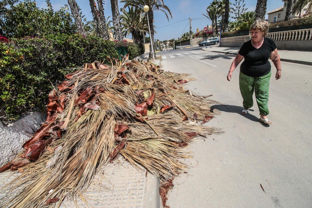 Deficiencias en Orihuela Costa