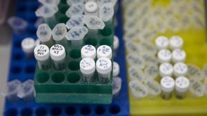 undefined33510572 barcelona 12 4 2016    dominical    el doctor manel esteller190709181346