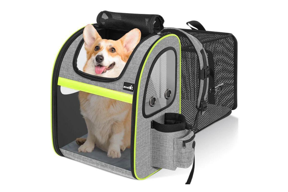 Este es el transportín perfecto para volar con tu mascota