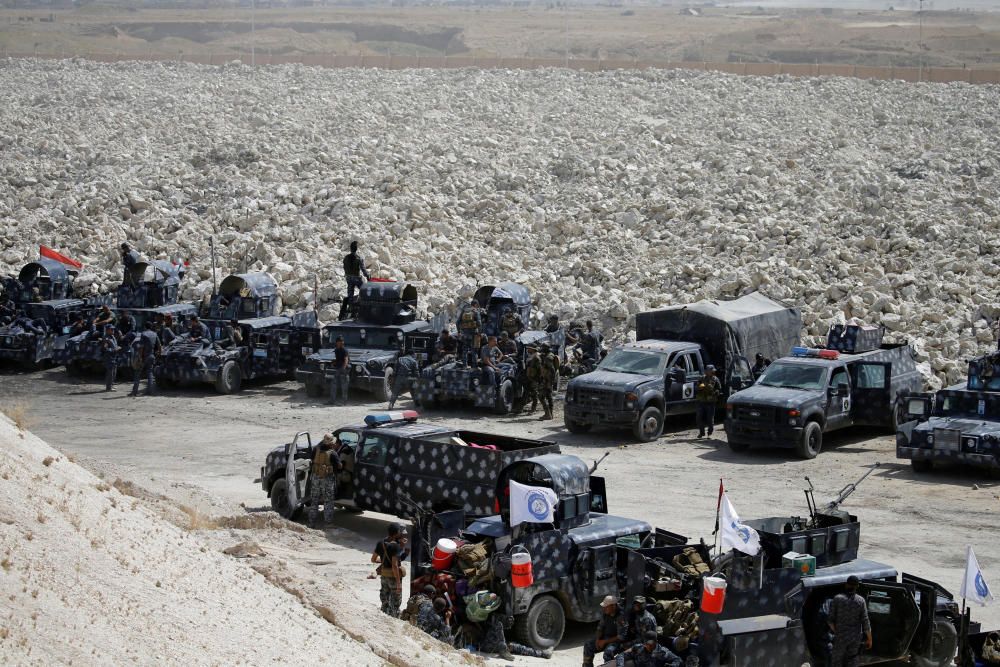 Fuerzas de seguridad iraquís se reúnen cerca de Faluya, Irak.