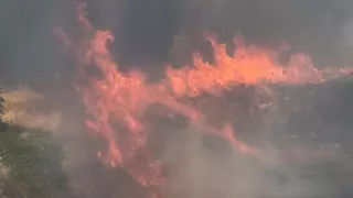Un incendio en Los Bodegones, en Mérida, sobresalta a los vecinos de la barriada