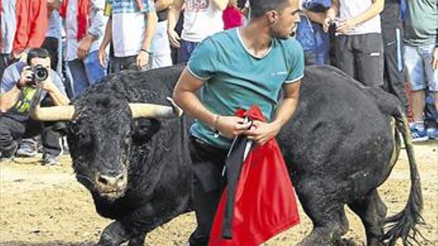 El mejor toro de Almassora será elegido por las peñas