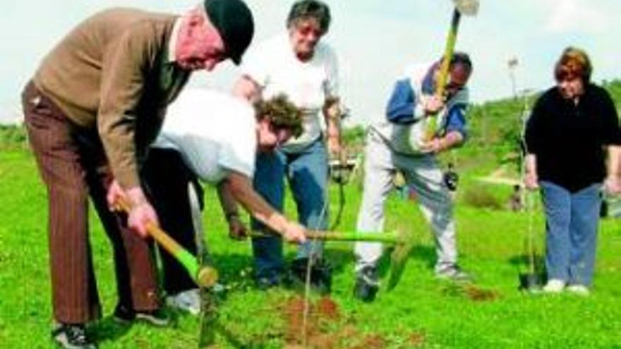 Consejos para volver ´verde´ la rutina diaria