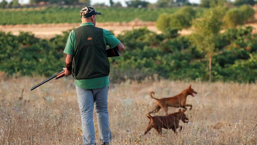 El PSOE retrasa la ley de animales ante la falta de consenso sobre los perros de caza