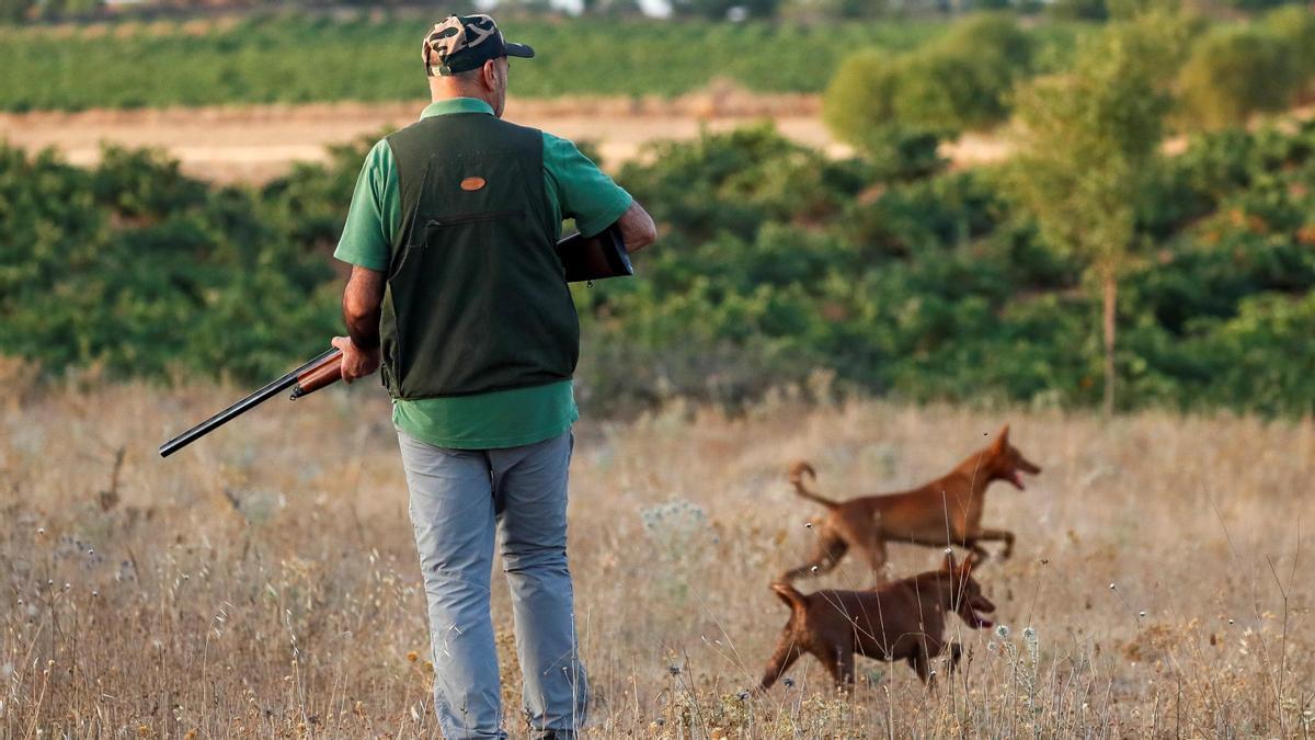 Un cazador junto a dos perros.