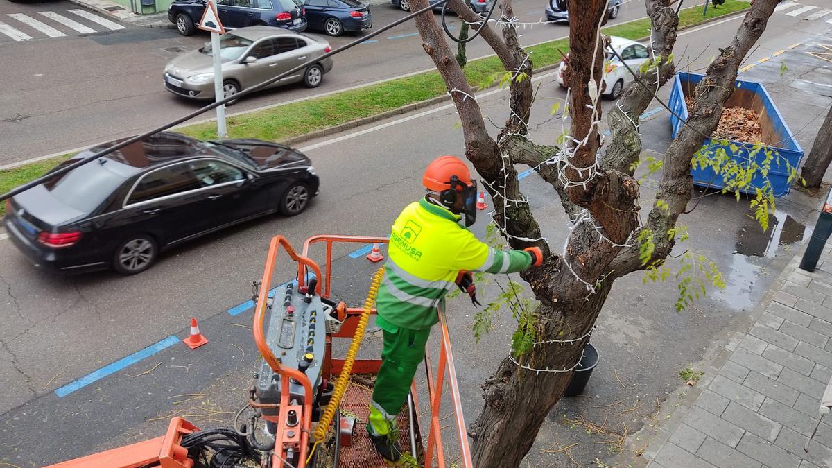 Imagen de un operario durante una jornada laboral.