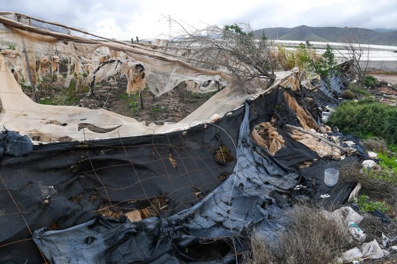 Invernaderos abandonados en la zona de acceso a Playa Vargas