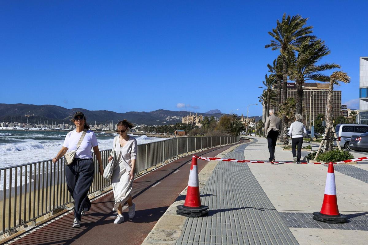Temporal de viento en Palma