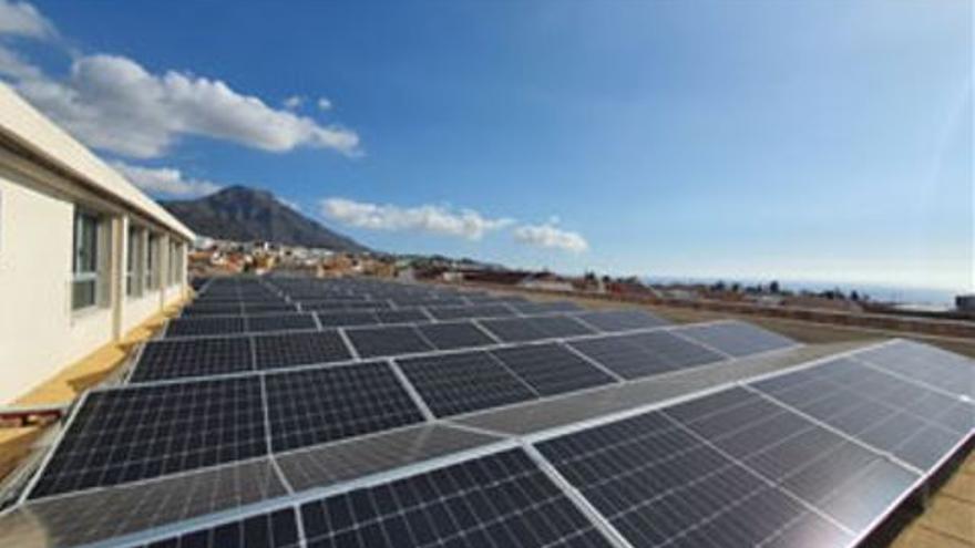 Fighting climate change from home is now more possible than ever