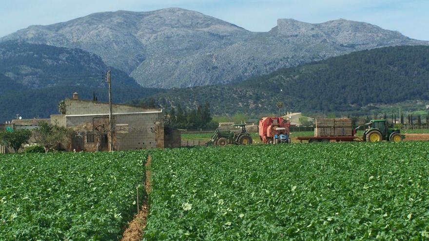 El Govern entrega casi diez millones  en ayudas al sector agroalimentario