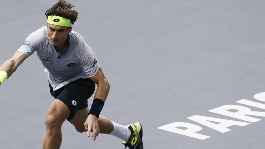 David Ferrer, en el torneo de París.