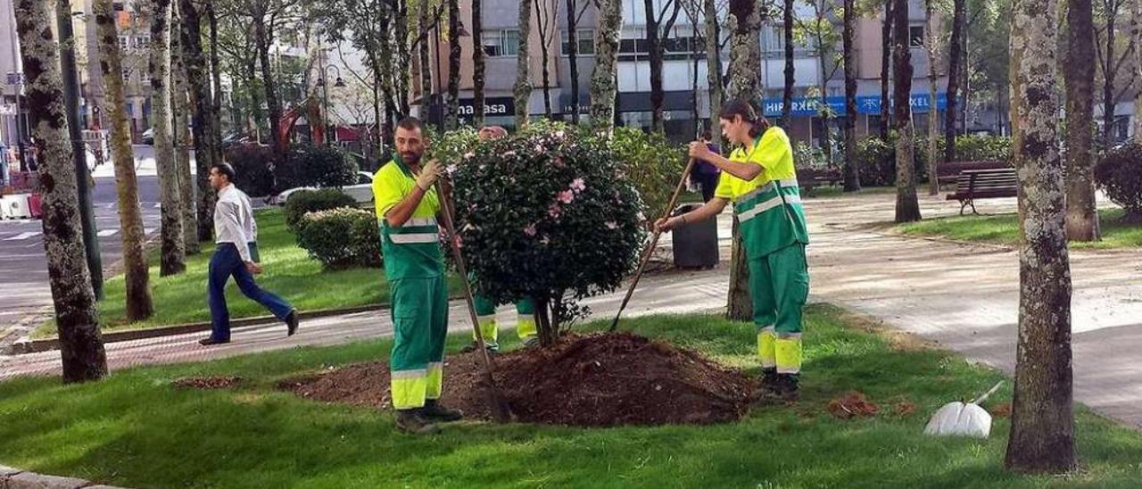 Trabajadores de la empresa actual, que deben ser subrogados por la nueva. // Rafa Vázquez