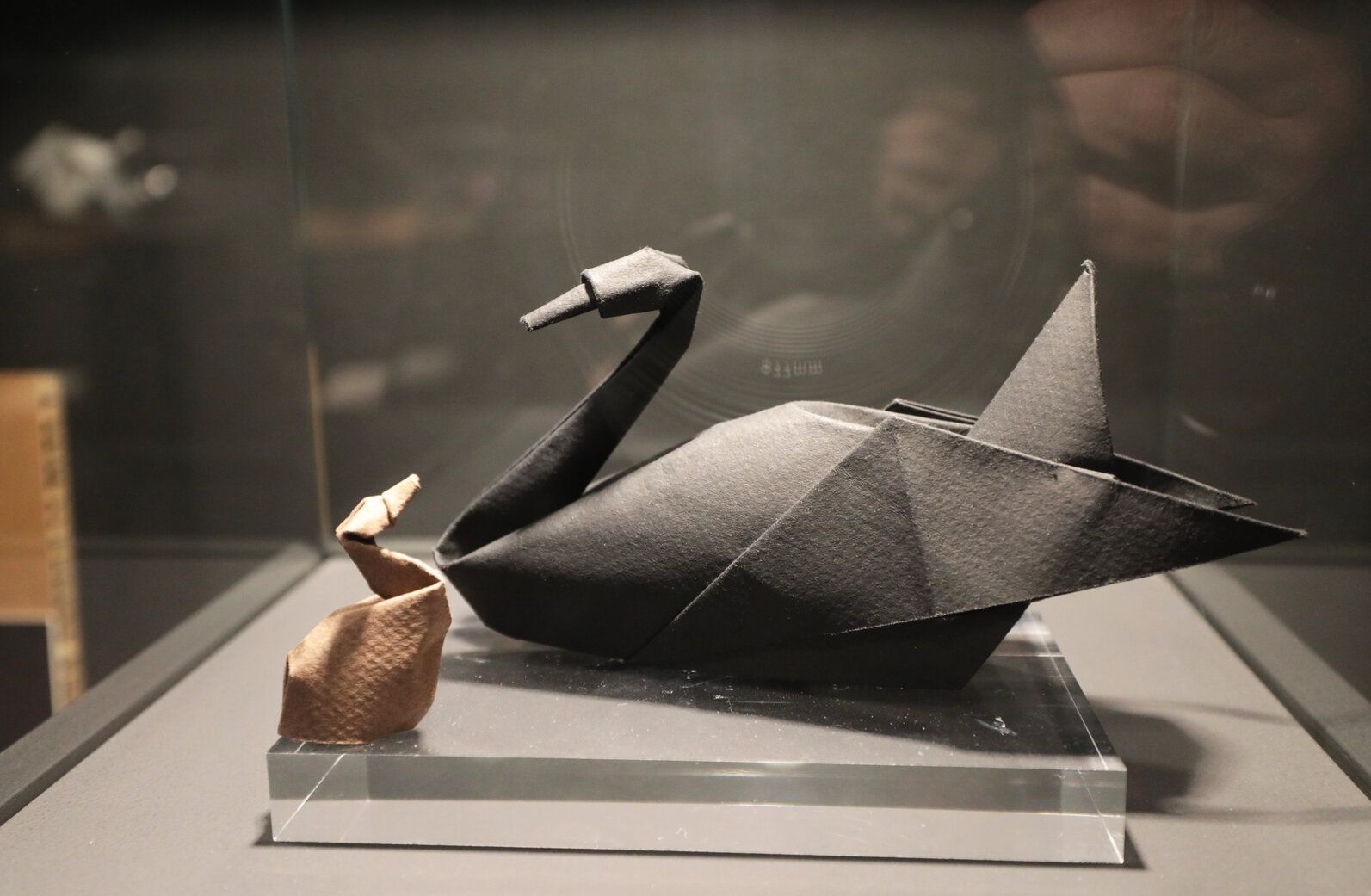 Día de puertas abiertas en el Museo del Origami de Zaragoza