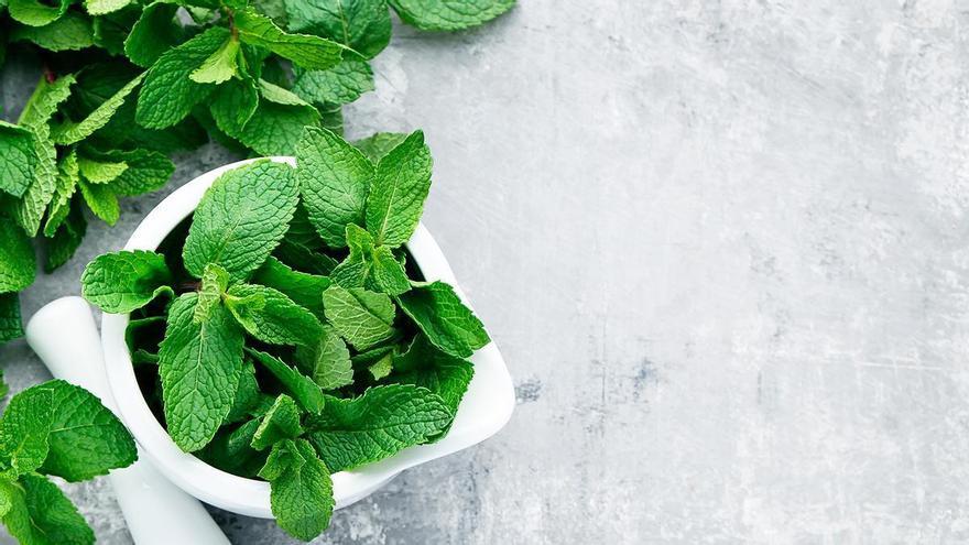 Quemar una hoja de menta antes de dormir: la solución que cada vez hace más gente