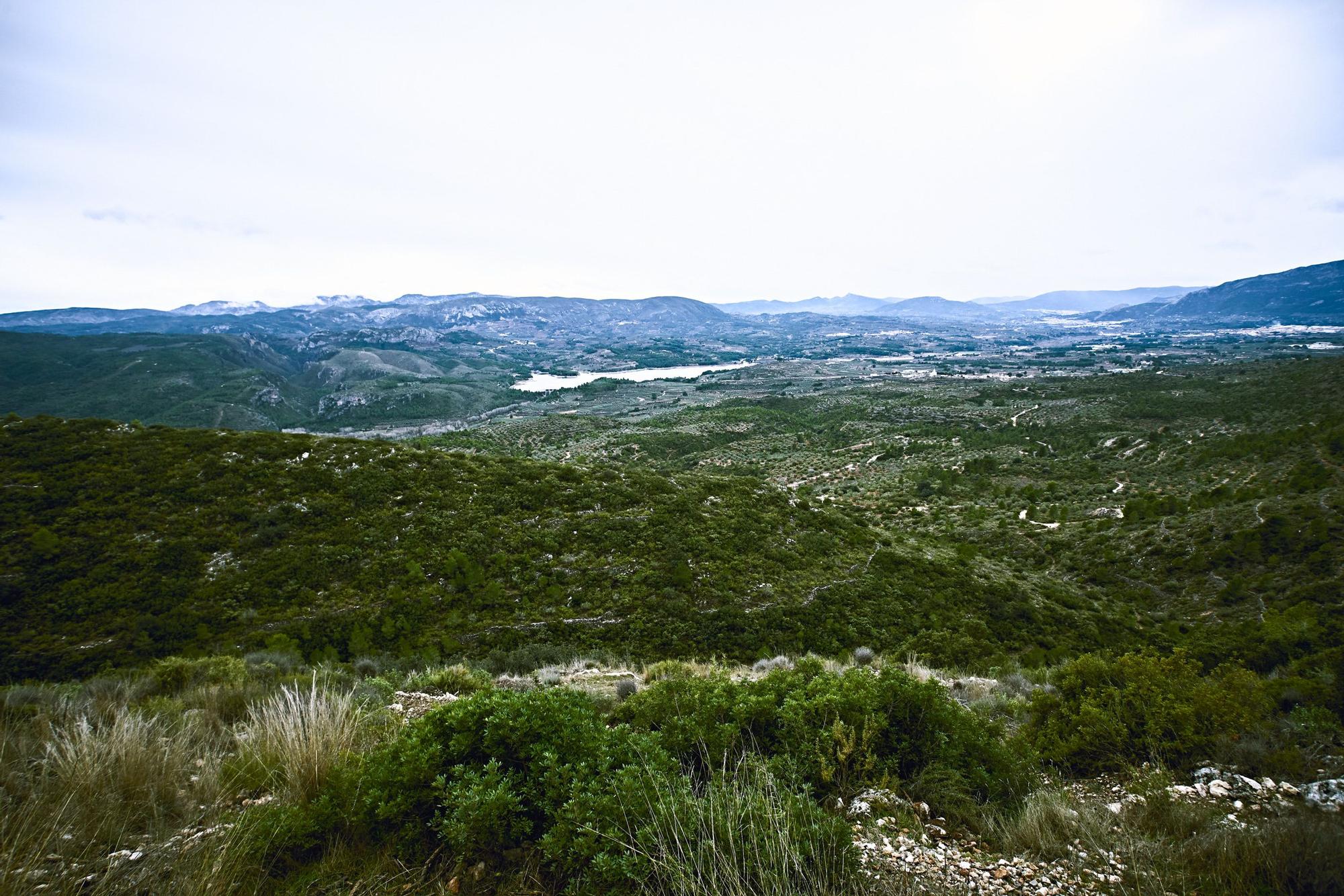 La Cova de l'Or se abre a las visitas