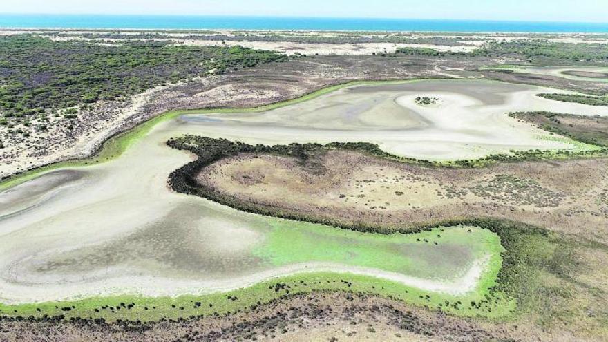 La llacuna de
Santa Olalla,
totalment seca.