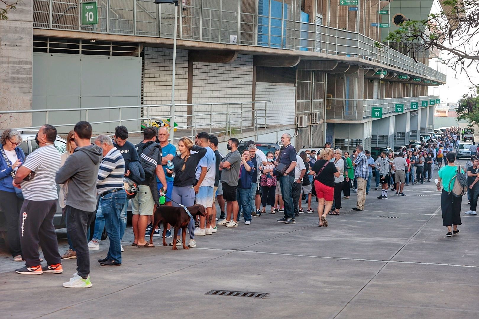 Colas para una entrada del Tenerife - Girona