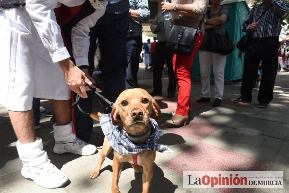 Ambiente en el Bando de la Huerta