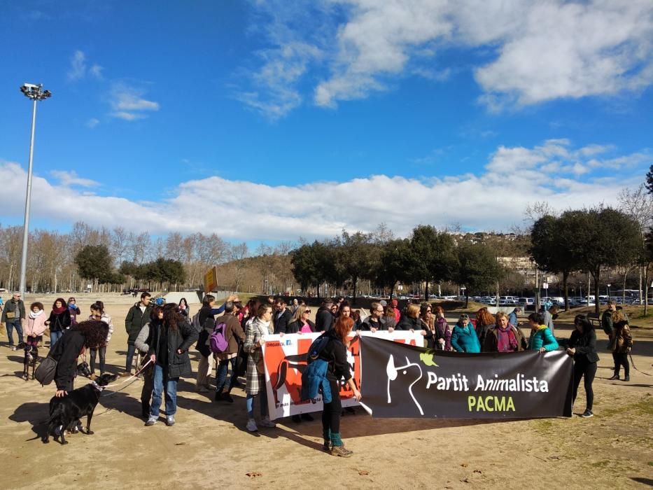 Manifestació contra la caça a Girona