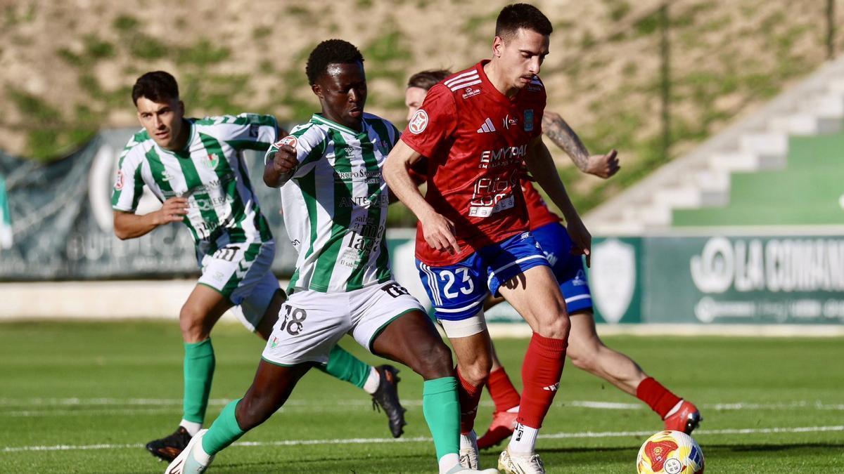 La SD Tarazona busca salir del descenso con una victoria en casa ante el Alcorcón