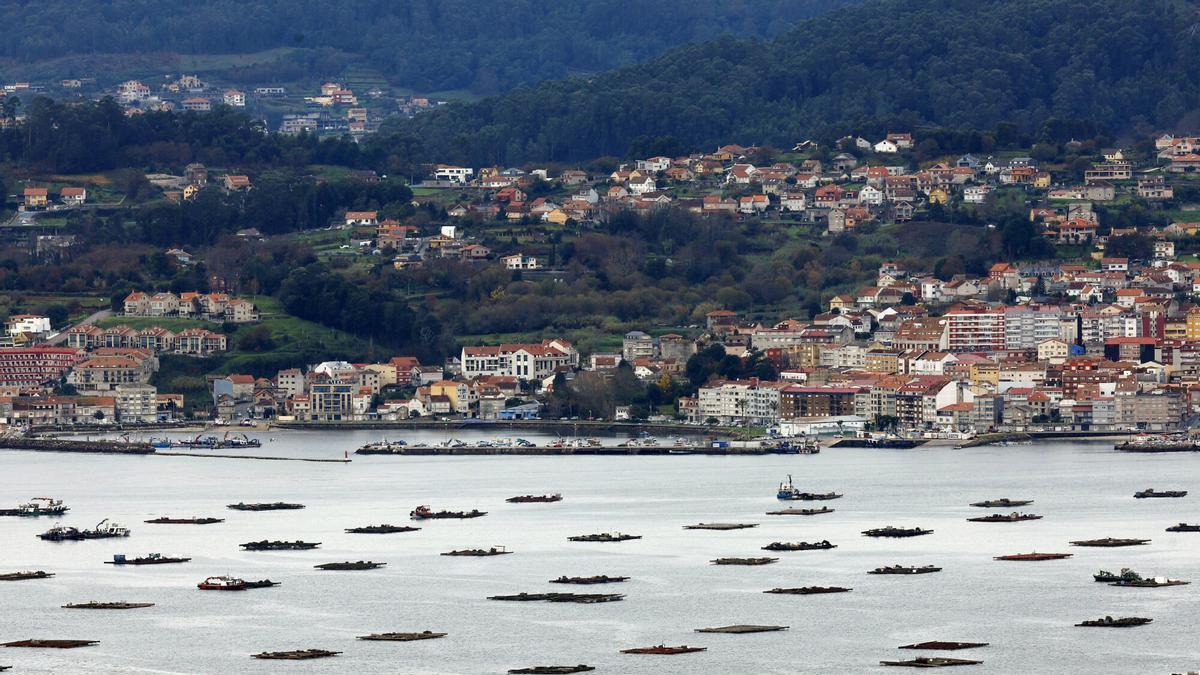 Vistas de bateas en la ría de Vigo, frente a O Morrazo (Moaña).