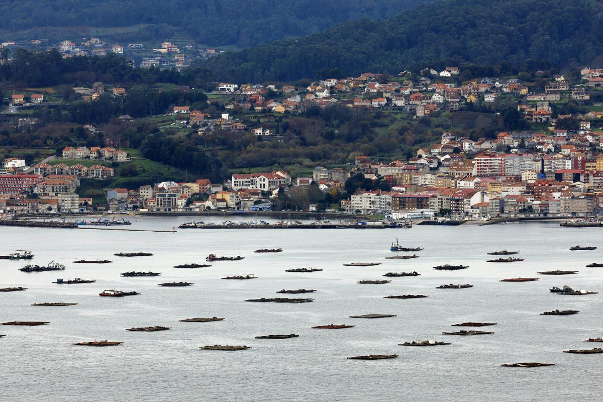 Vistas de bateas en la ría de Vigo, frente a O Morrazo (Moaña).