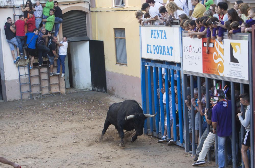 Festes del Roser en Almassora