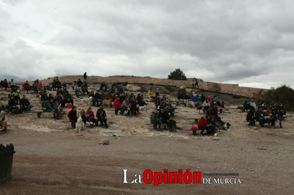 Jornada especial por San Antón en la Fortaleza del Sol de Lorca