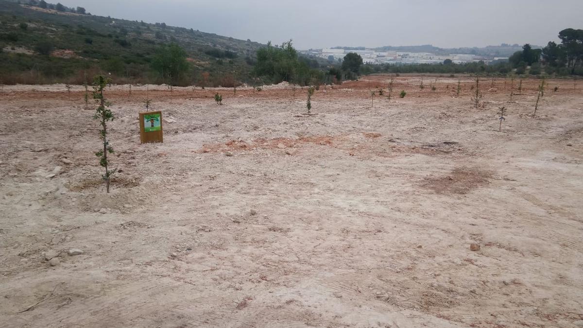 El antiguo vertedero de Girsa en Ontinyent.