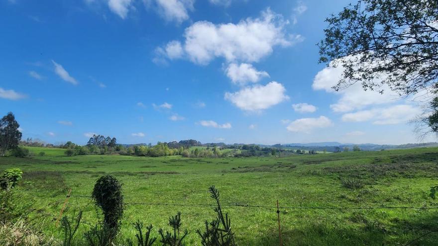 Los terrenos en los que se construirá la ciudad deportiva del Oviedo. | J.  A.