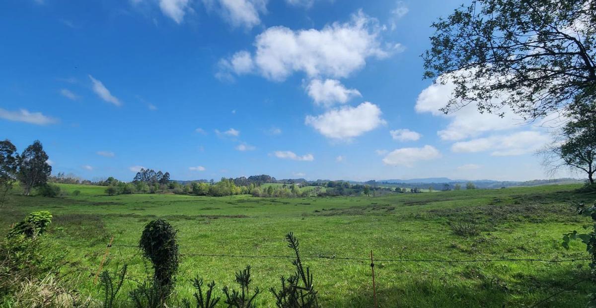 Los terrenos en los que se construirá la ciudad deportiva del Oviedo. | J.  A.