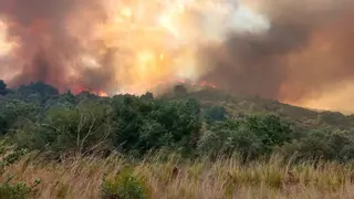 Incendios, hoy en directo: última hora del fuego en Galicia, León, Zamora, Zaragoza y Portugal
