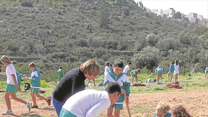 El Ramiro Izquierdo cuida els boscos de les Useres