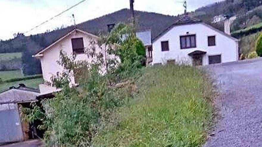 Los restos de una de las ovejas atacadas en el Valle de San Agustín.