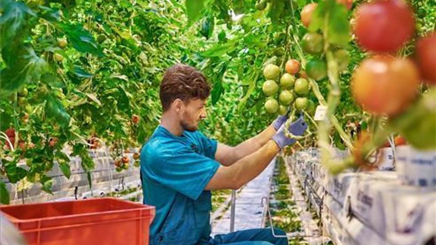 La economía de Aragón aceleró durante el tercer trimestre del 2019