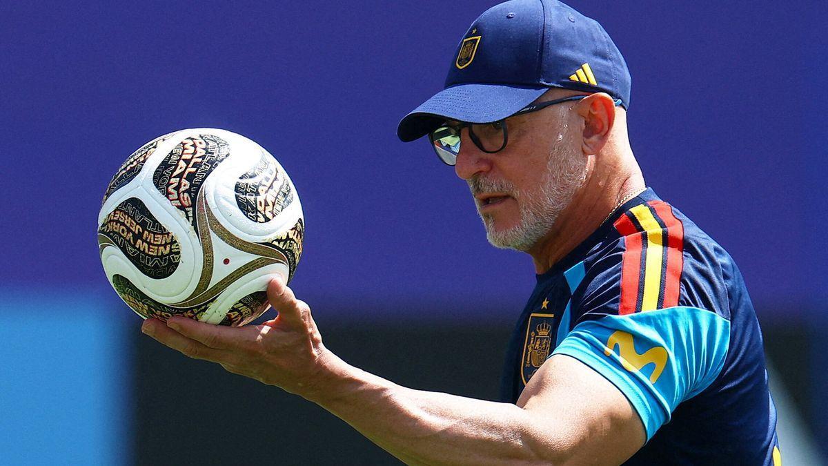 Luis de la Fuente, seleccionador