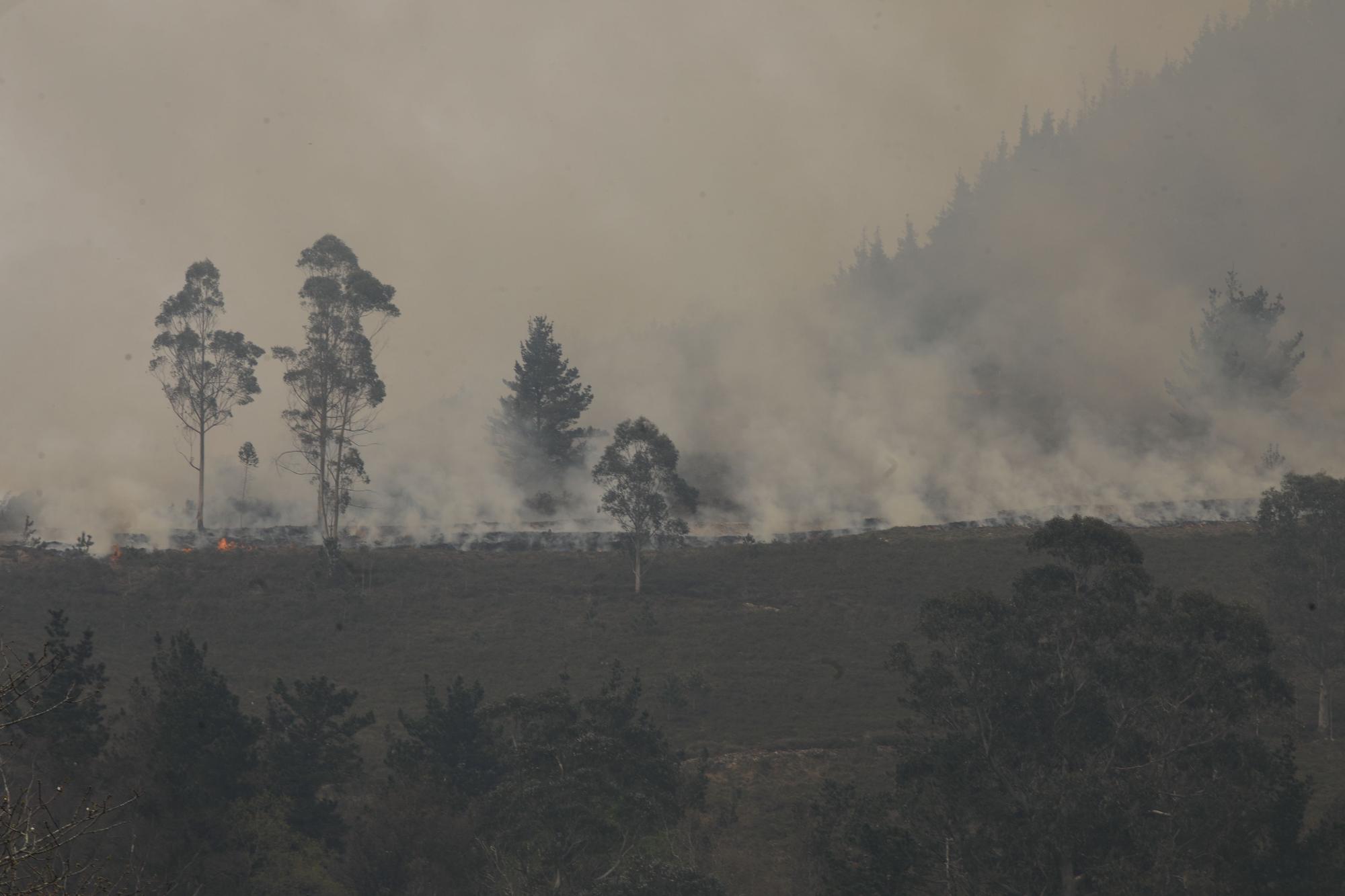 Incendio en la zona de Ques en Piloña