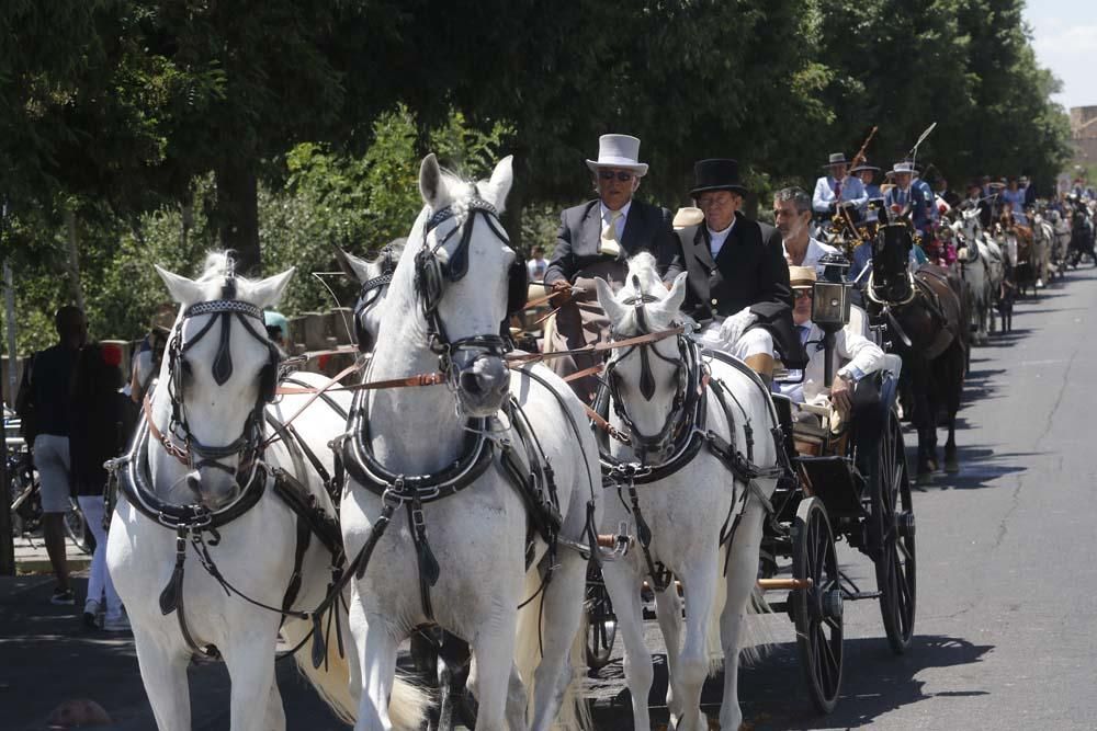 Exhibición de carruajes de tradición en El Arenal