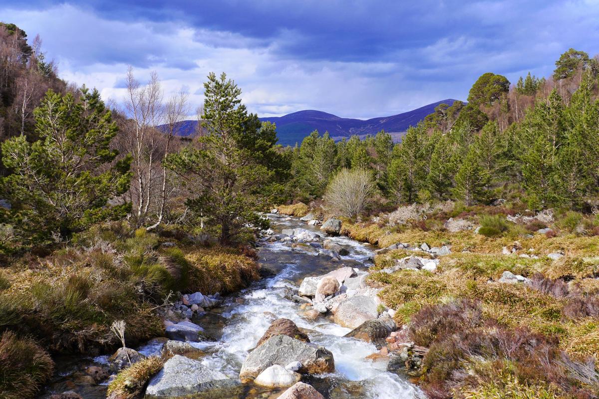 El Parque Nacional Cairngorms es uno de los 50 Parques Nacionales más grandes del mundo