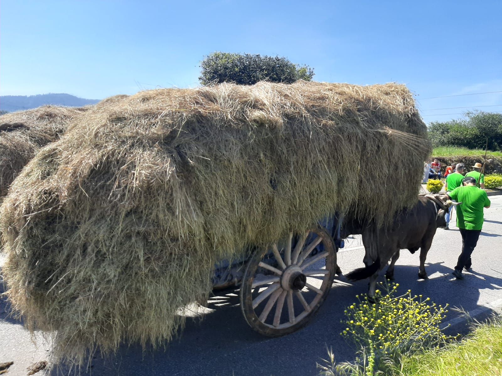 Llanera celebra por todo lo alto San Isidro