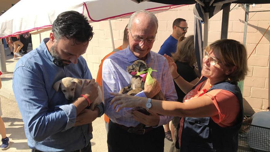 El alcalde de Málaga, Francisco de la Torre ha participado en las jornadas de puertas abiertas de la Protectora de Animales.