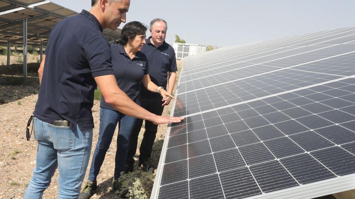 Tres directivos de Stellantis junto a una plaza solar, con Manuel Munarriz, director de la planta de Figueruelas, el primero por la derecha.