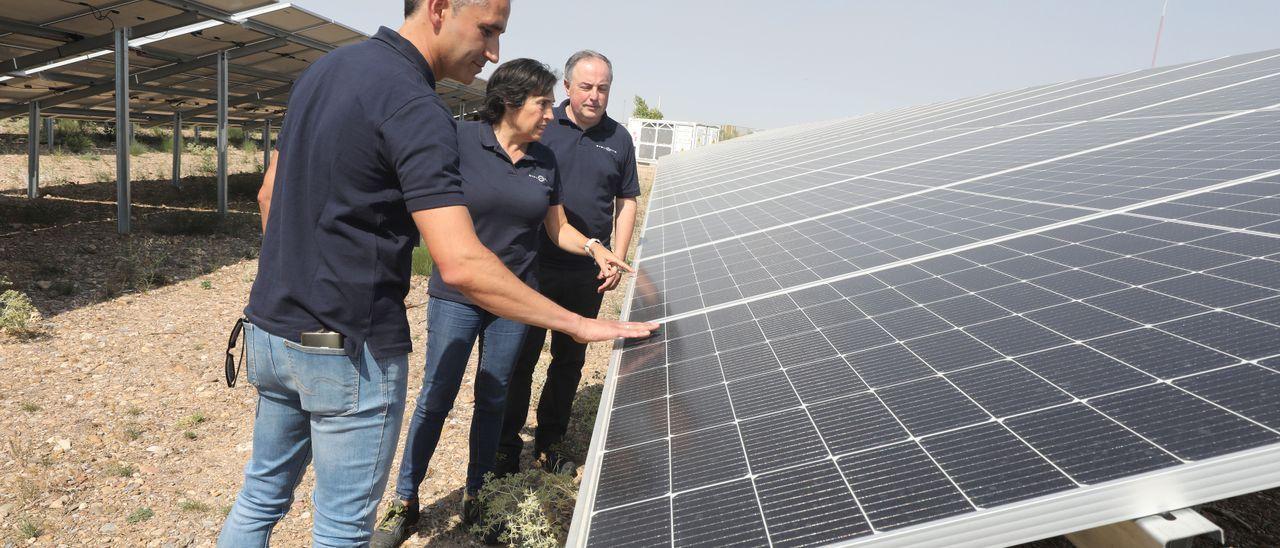 Tres directivos de Stellantis junto a una plaza solar, con Manuel Munarriz, director de la planta de Figueruelas, el primero por la derecha.