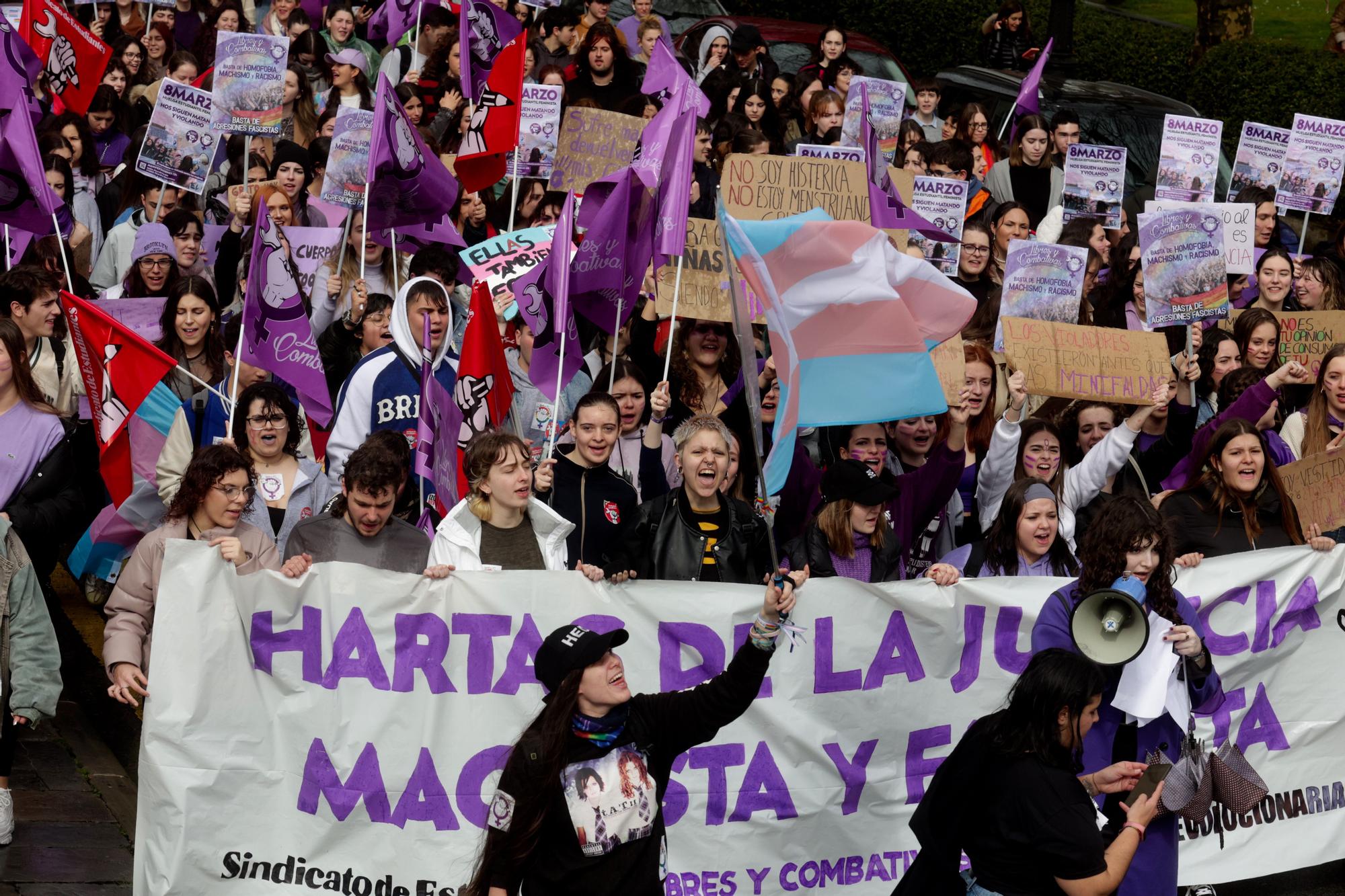 Manifestación del 8M en Oviedo