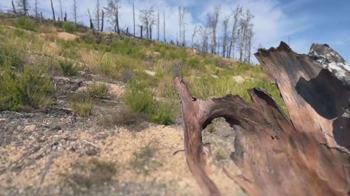 Captura del vídeo de presentación del proyecto.