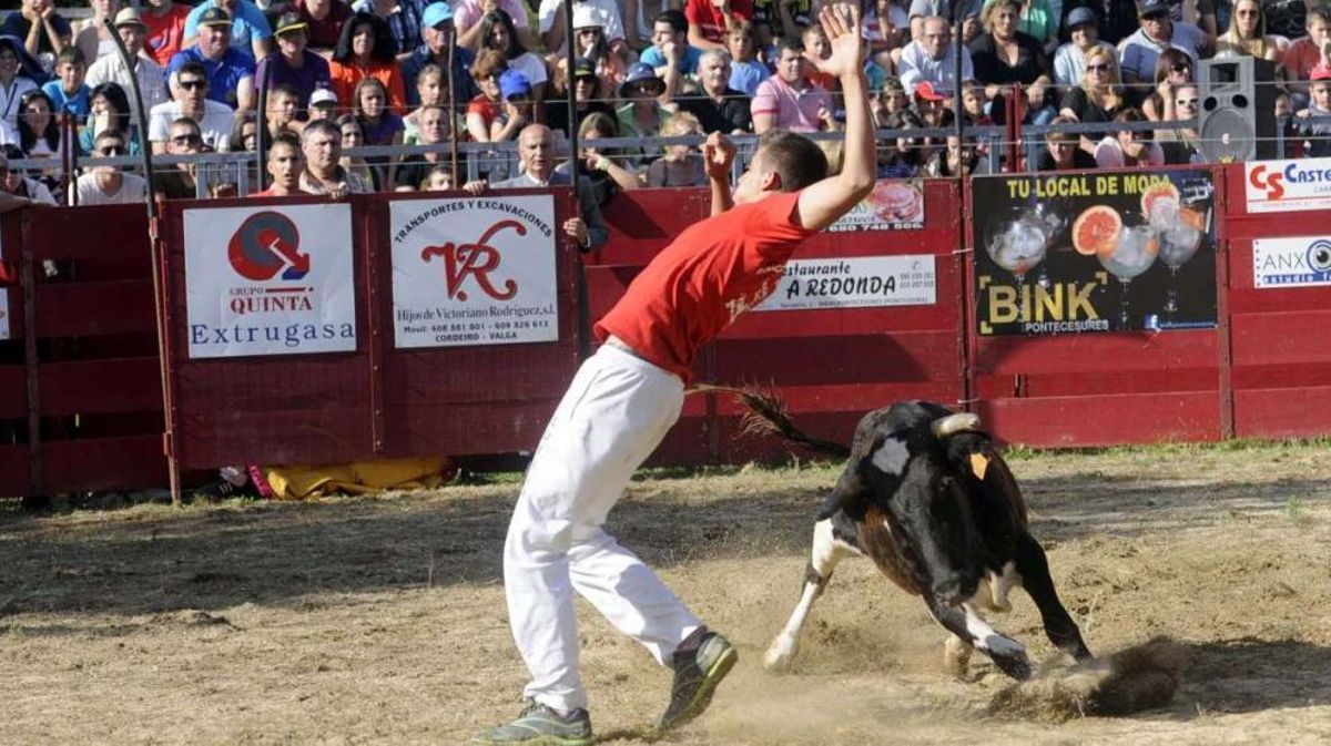 Tarde de olimpiadas y &quot;olés&quot;