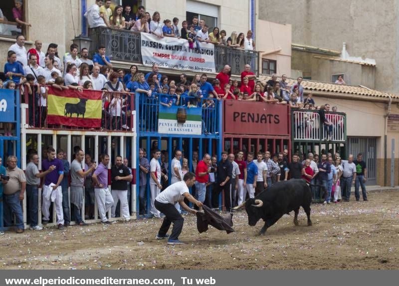 GALERÍA DE FOTOS -- Almassora se vuelca con las fiestas del Roser