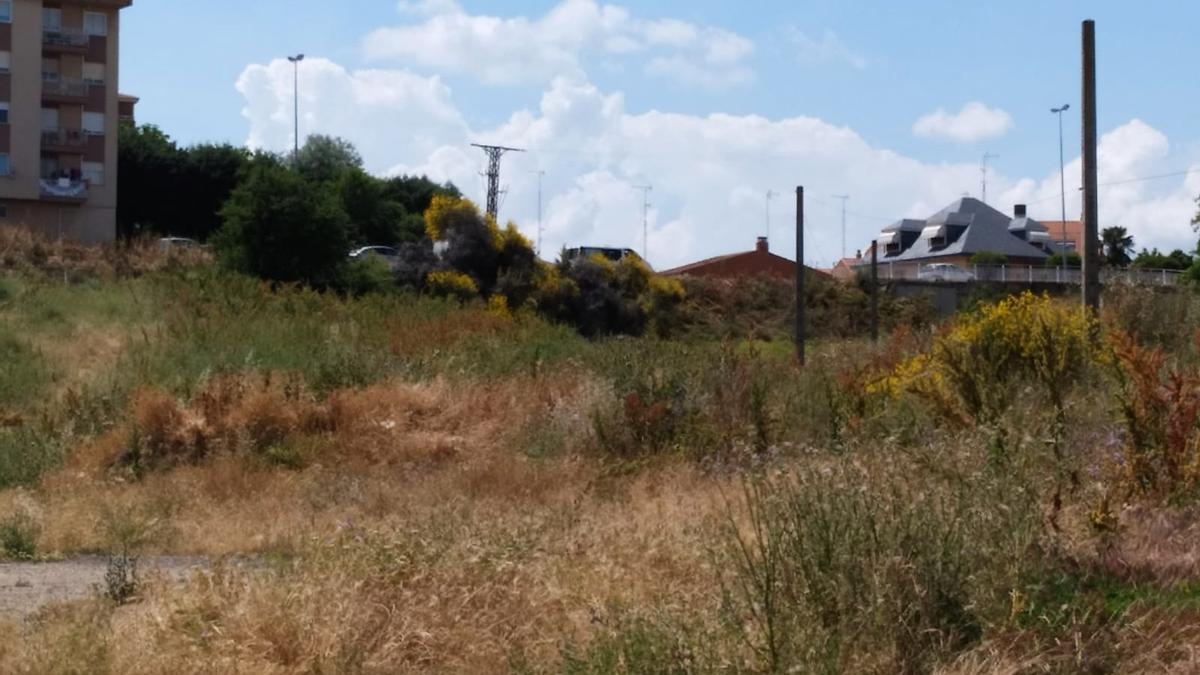 Treinta denuncias por no mantener limpios y desbrozados solares en Benavente